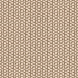 Galerie Wallcoverings Product Code 18511 - Into The Wild Wallpaper Collection - Beige Colours - Geo Hex Design