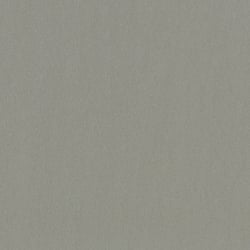 Galerie Wallcoverings Product Code 34950 - Eclectic Wallpaper Collection - Silver Colours - Metallic look Design