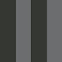 Galerie Wallcoverings Product Code 35969 - Ornamenta Wallpaper Collection - Anthracite Grey Colours - Wide Stripe Design