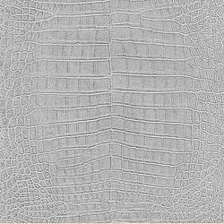 Galerie Wallcoverings Product Code 474145 - African Queen 2 Wallpaper Collection -   