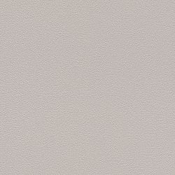 Galerie Wallcoverings Product Code 700350 - Kids and Teens 2 Wallpaper Collection -   