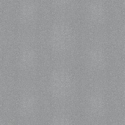 Galerie Wallcoverings Product Code 95055 - Air Wallpaper Collection - Silver Colours - This textured wallpaper is the perfect choice if you want to bring a room up to date in an understated way. With a subtle emboss to create some structural depth, it comes in an on-trend natural colour. No interior décor is complete without the addition of texture, this matte natural wallpaper will be a warming welcome to your home. This will be perfect on all four walls or can be accompanied by a complementary wallpaper. Design