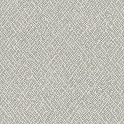 Galerie Wallcoverings Product Code 99127 - Earth Wallpaper Collection - Beige, Platinum Colours - Crosshatch Design