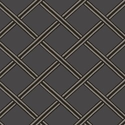 Galerie Wallcoverings Product Code BO23034 - Luxe Wallpaper Collection - Black Silver Grey Colours - Braid Design