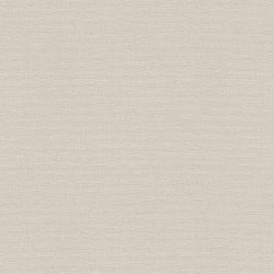 Galerie Wallcoverings Product Code BW51002 - Blooming Wild Wallpaper Collection - Beige Colours - Plain Texture Design