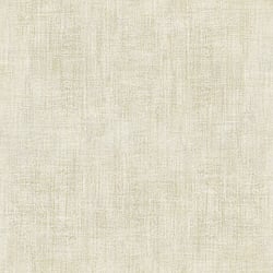 Galerie Wallcoverings Product Code CM27081 - Botanica Wallpaper Collection - Cream Colours - Bali Plain Design