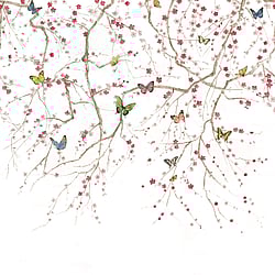 Galerie Wallcoverings Product Code DB31301M - Daisy Bennett Wallpaper Collection - Multicolors Colours - Butterfly Delight Design