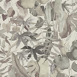 Galerie Wallcoverings Product Code DW2010 - Designer Walls Wallpaper Collection - Greige Colours - Abstract Leaves Design