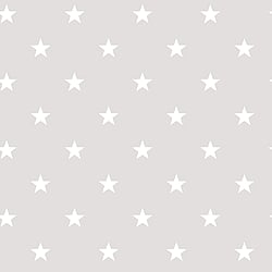 Galerie Wallcoverings Product Code G23109 - Deauville 2 Wallpaper Collection - Grey Beige White Colours - Deauville Star Design
