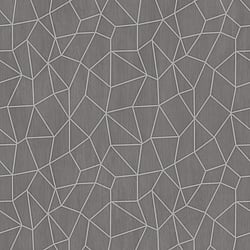 Galerie Wallcoverings Product Code G67698 - Special Fx Wallpaper Collection - Silver Grey Beige Colours - Glitter Web Design