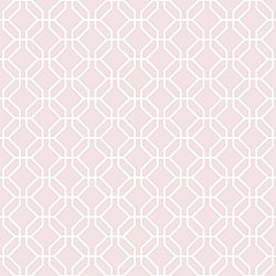 Galerie Wallcoverings Product Code G78521 - Secret Garden Wallpaper Collection -  Trellis Negative Design