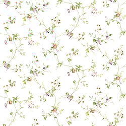 Galerie Wallcoverings Product Code KC28534 - Fresh Kitchens 5 Wallpaper Collection -   