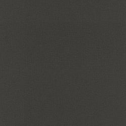 Galerie Wallcoverings Product Code SK21129 - Skandinavia 2 Wallpaper Collection - Black Colours - Black Plain Design