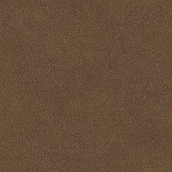 Galerie Wallcoverings Product Code TA25026 - Shades Of Colour Wallpaper Collection - cognac Colours - Leather Plain Design