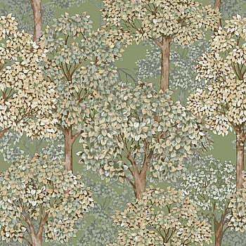 Galerie Wallcoverings Product Code 12322 - Little Explorers 2 Wallpaper Collection - Green Colours -  