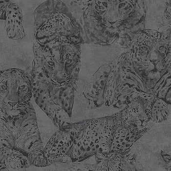 Galerie Wallcoverings Product Code BL22722 - Botanica Wallpaper Collection - Black Colours -  